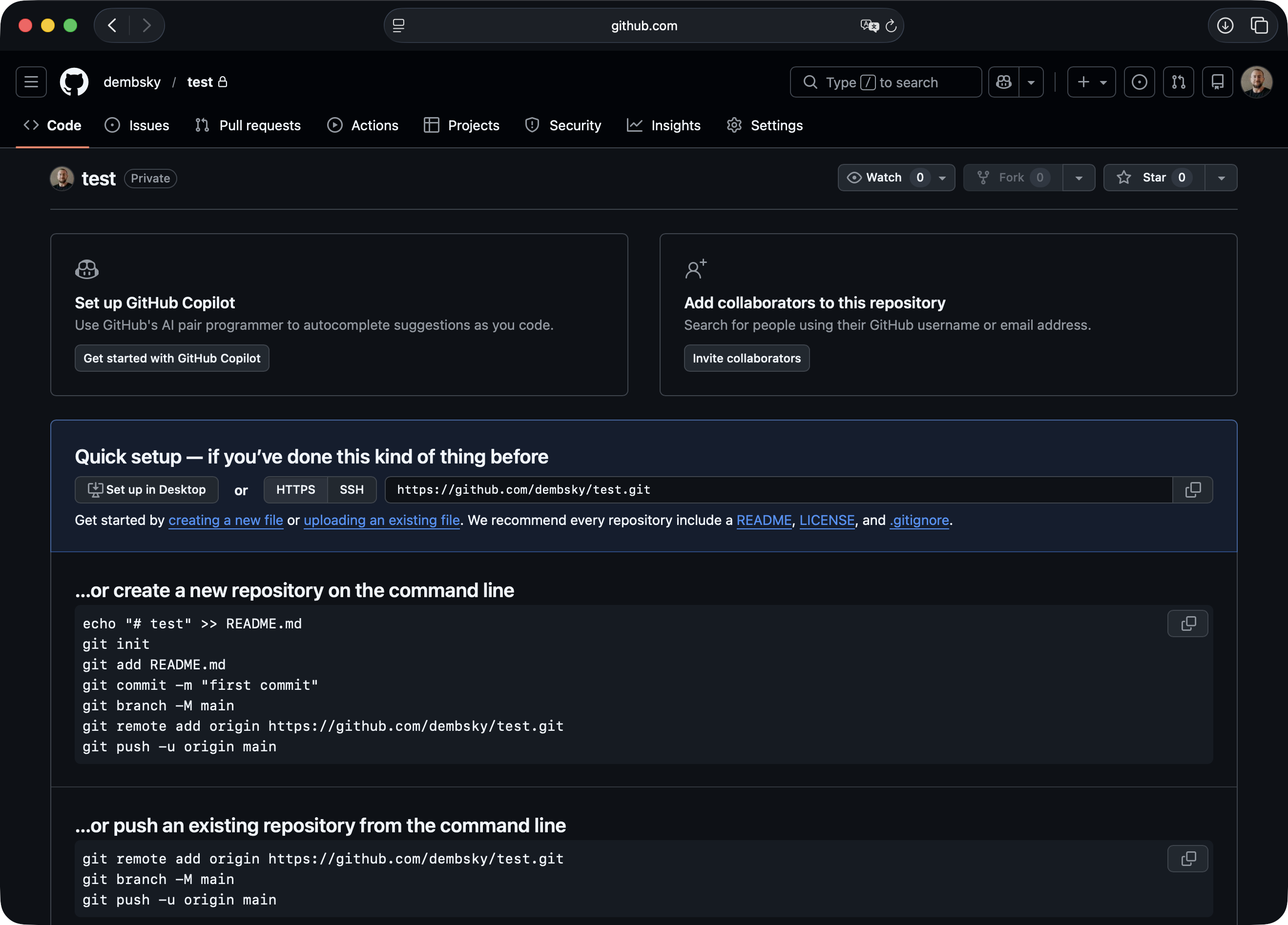New repository page showing the HTTPS URL to copy